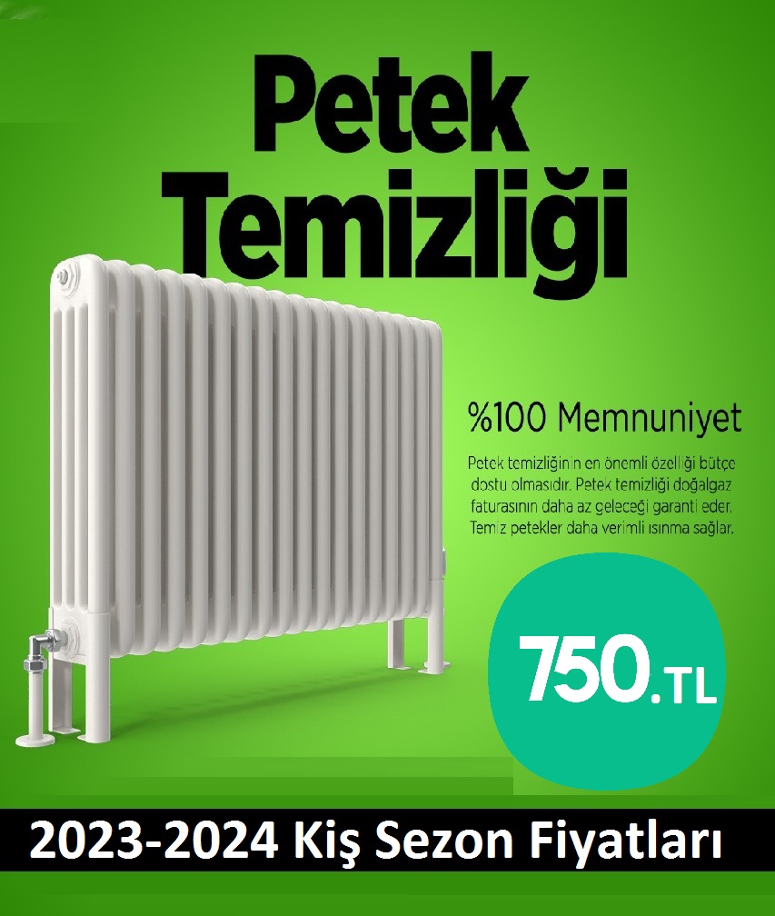 Tasdelen Petek Temizliği Tek Fiyat Teklifi Al